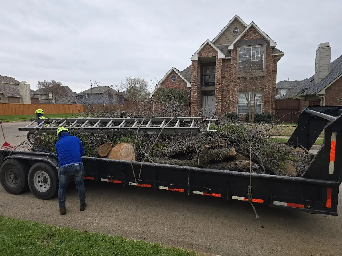 Expert Tree Fertilization with proper safety equipment in Buna